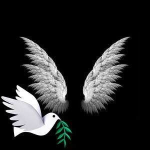 Meet your Posher, Myra